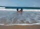 Glisse et détente : nouvelle session de surf avec Armor Surf School les Jardins d'Erquy Erquy